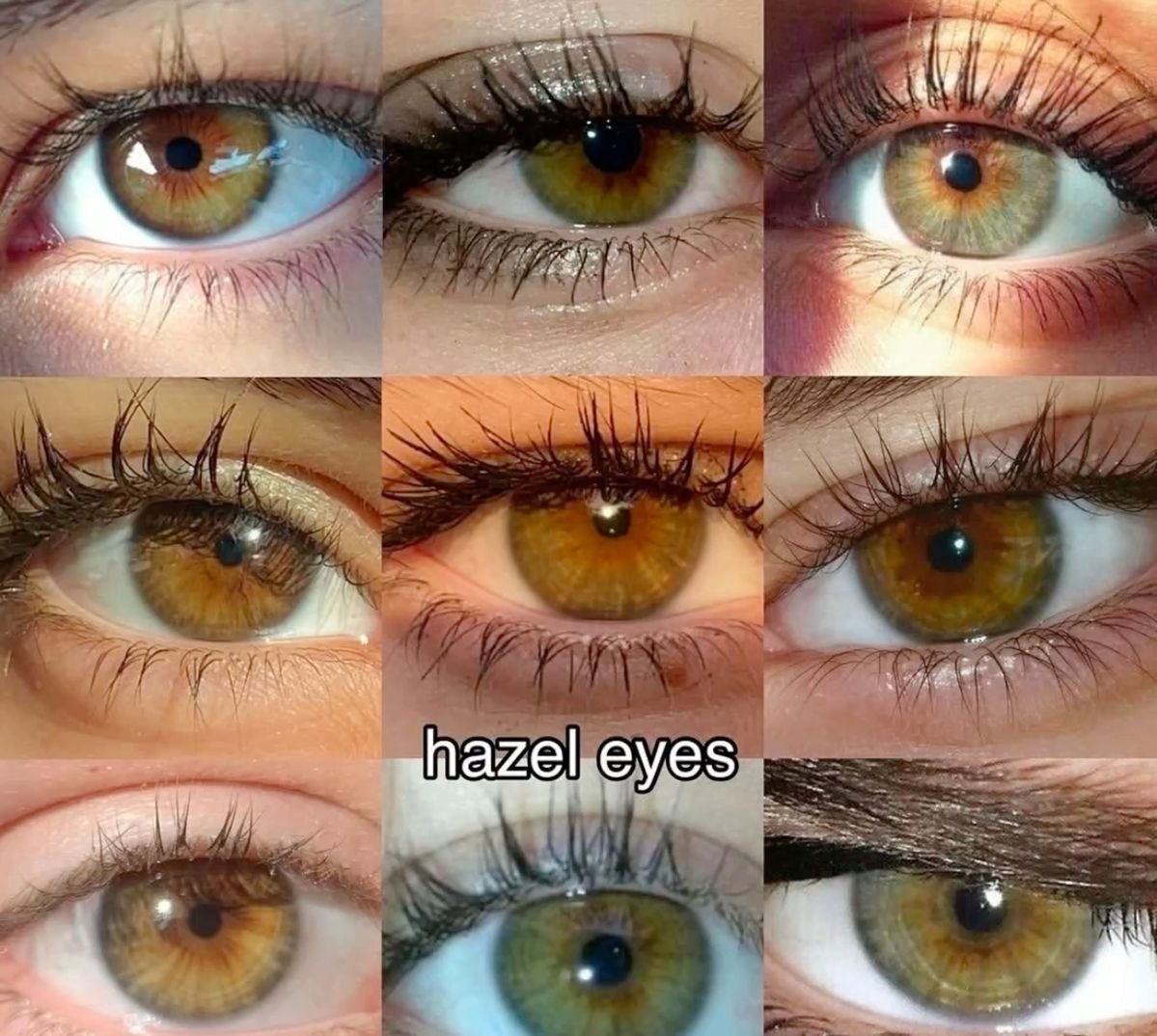 Hazel Eyes Why They re So Rare So Beautiful And How To Make Them Hazel Eyes Why They re So Rare So Beautiful And How To Make Them