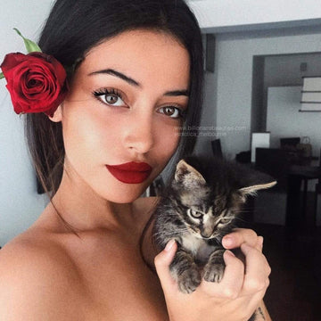 Wolfie Cindy's Story