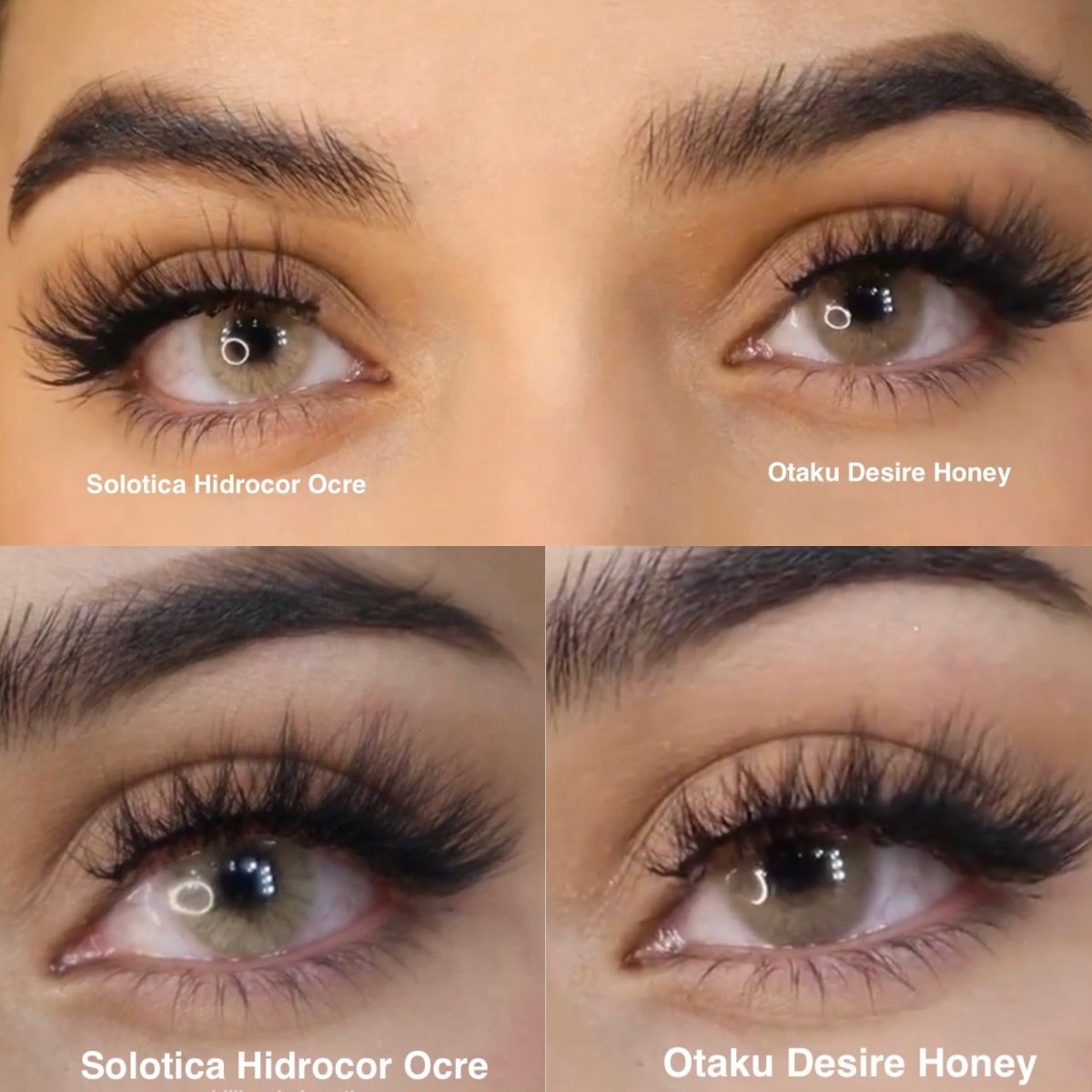 Solotica Hidrocor Ocre vs Otaku Desire Honey Color Comparison