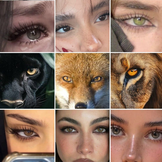 Zodiac Eye Colors: What’s Your Star Sign’s Animal and Eye Match?