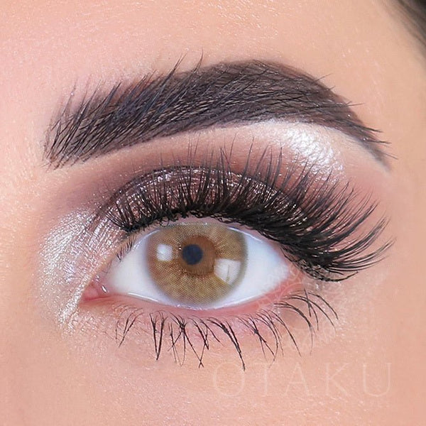 Brown Bear Otaku Colored Contact Lenses