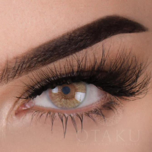 Brown Bear Otaku Colored Contact Lenses