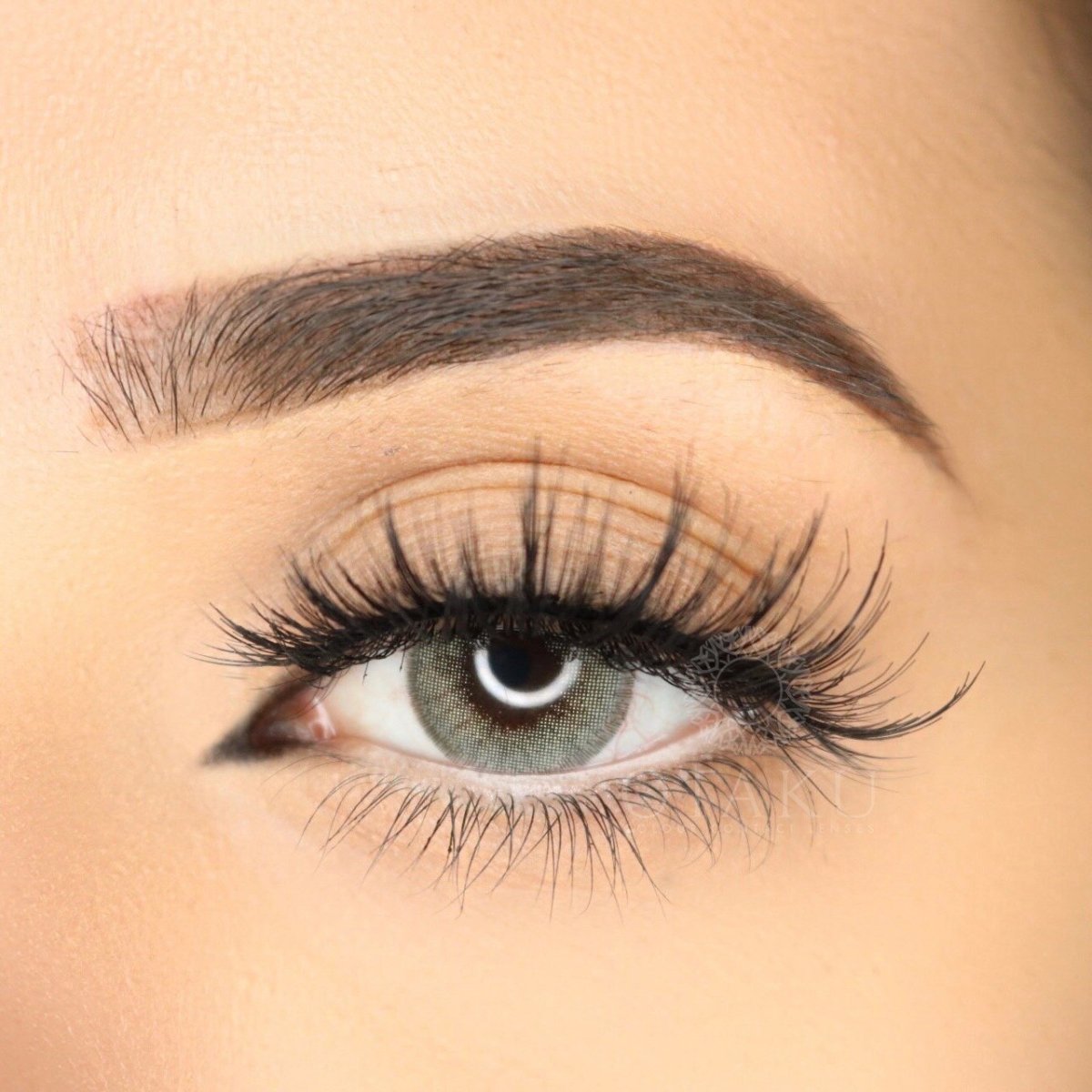 Most natural color contacts lenses new Otaku collection Russian collection 